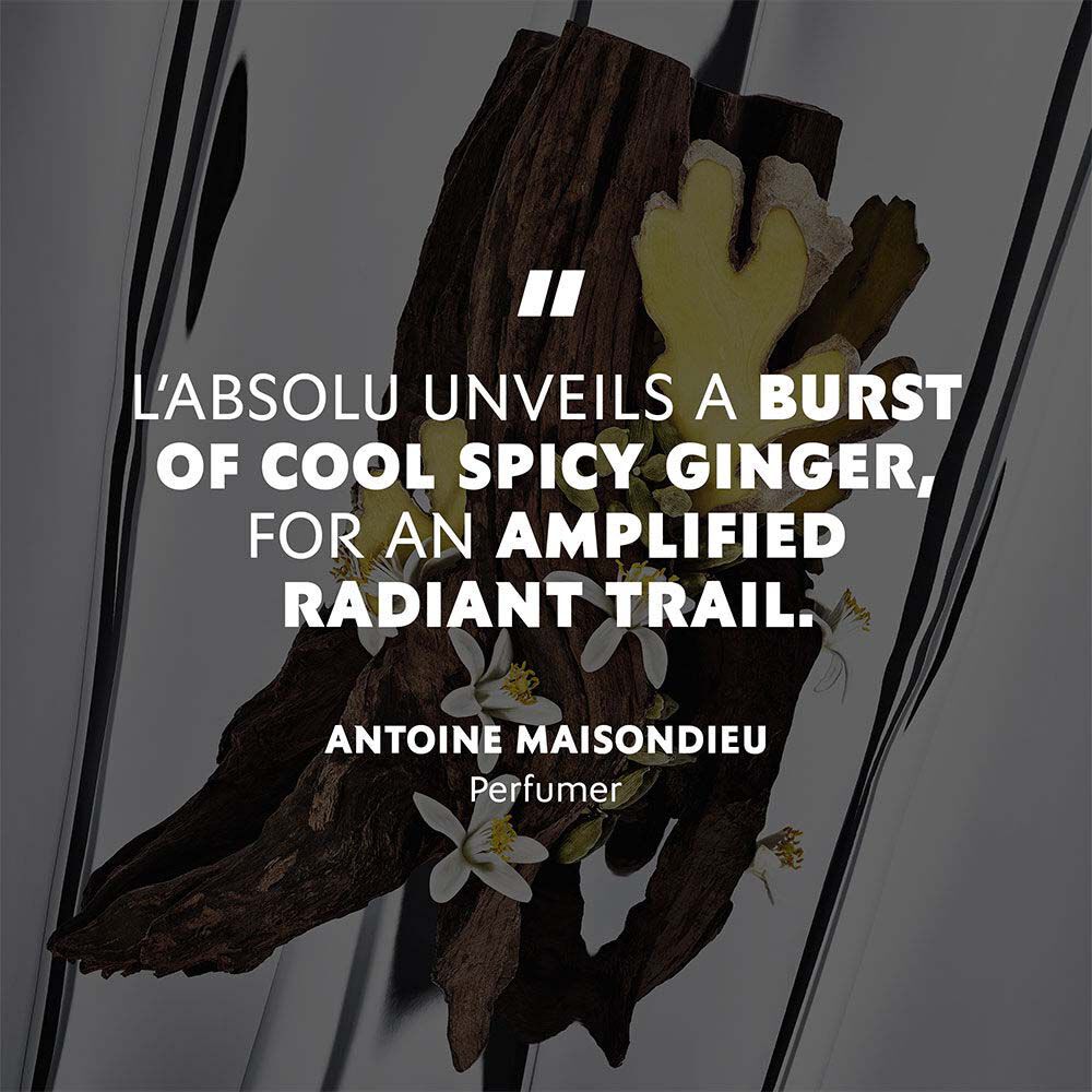 MYSLF L'ABSOLU