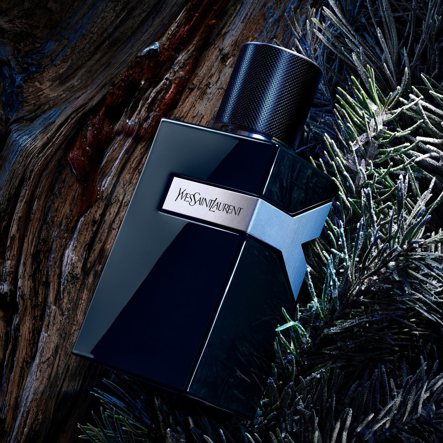 Y Le Parfum | The new take on Y franchise by YSL Beauty International