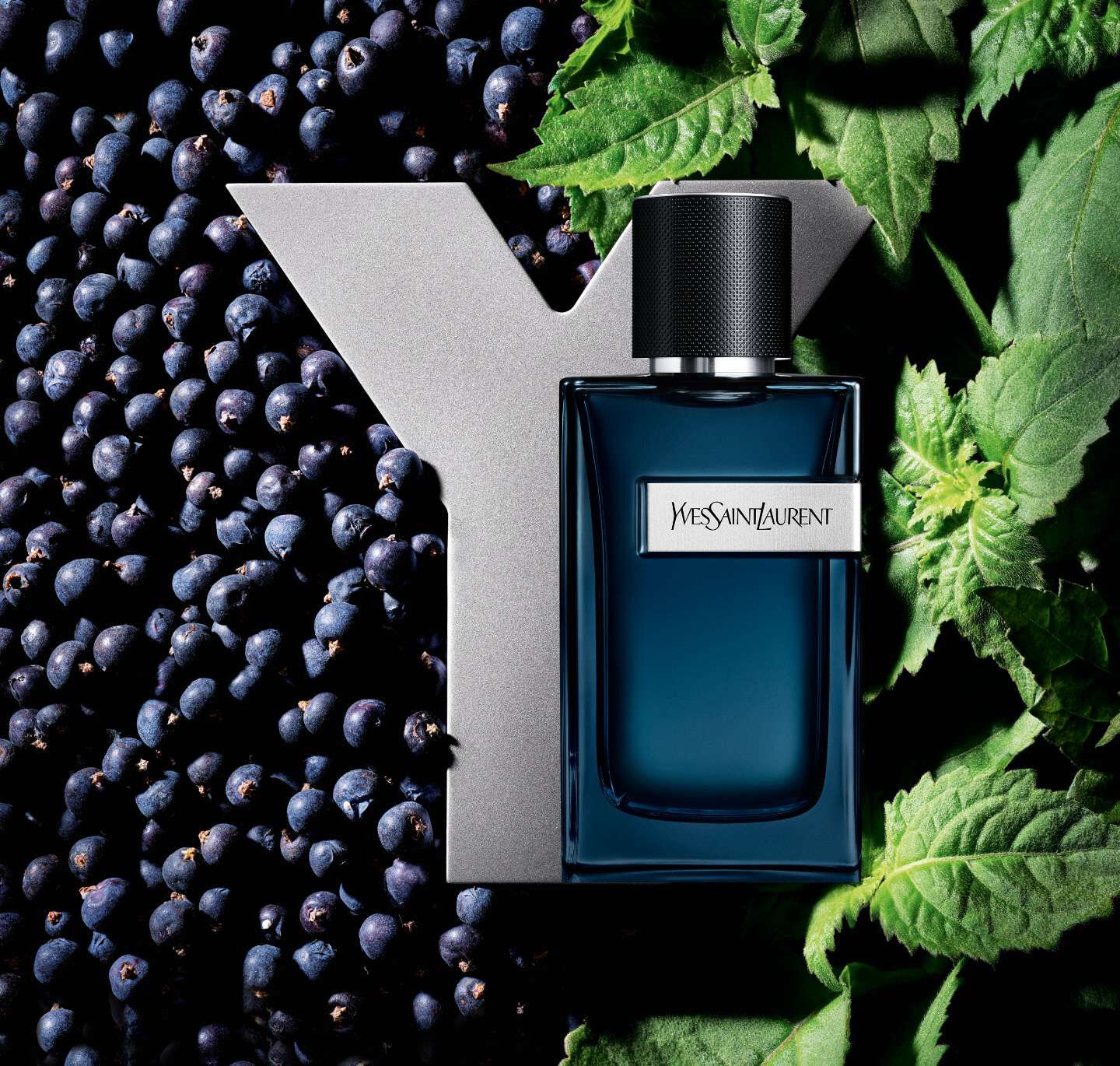 YSL Beauty Y Collection: Discover Premium Fragrance Range