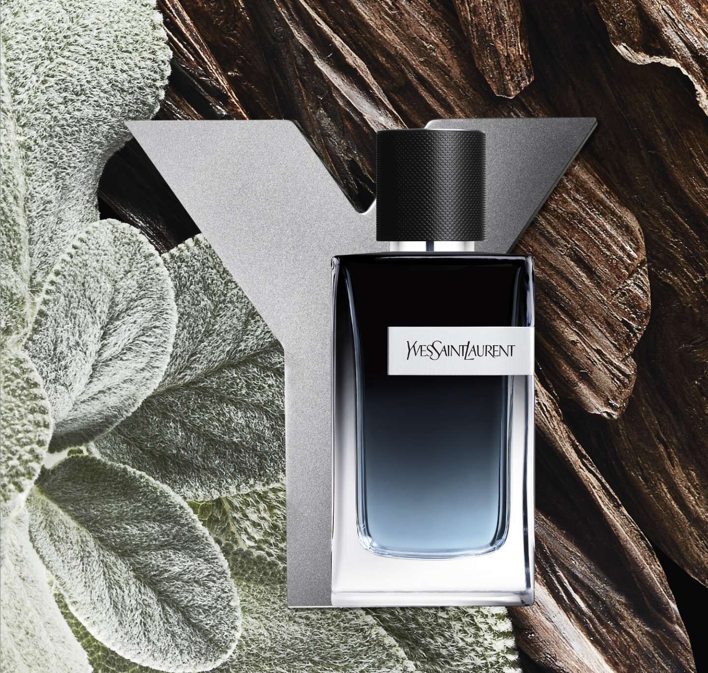YSL Beauty Y Collection: Discover Premium Fragrance Range