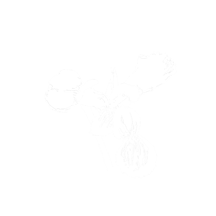 Elegant orris butter icon for CŒUR
Eau de Parfum by YSL, representing
the powdery heart notes of the scent.