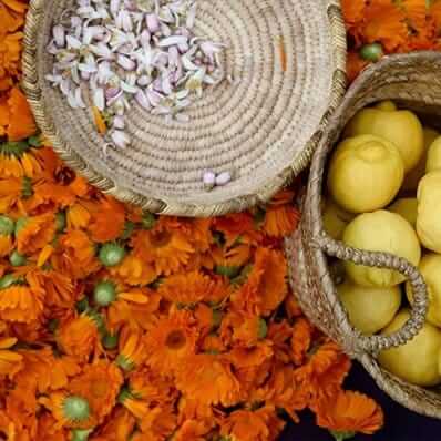 skincare ingredients